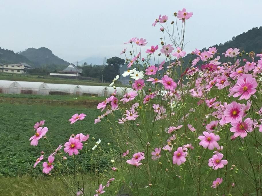 Ayabe 古民家 羅美酒店 外观 照片