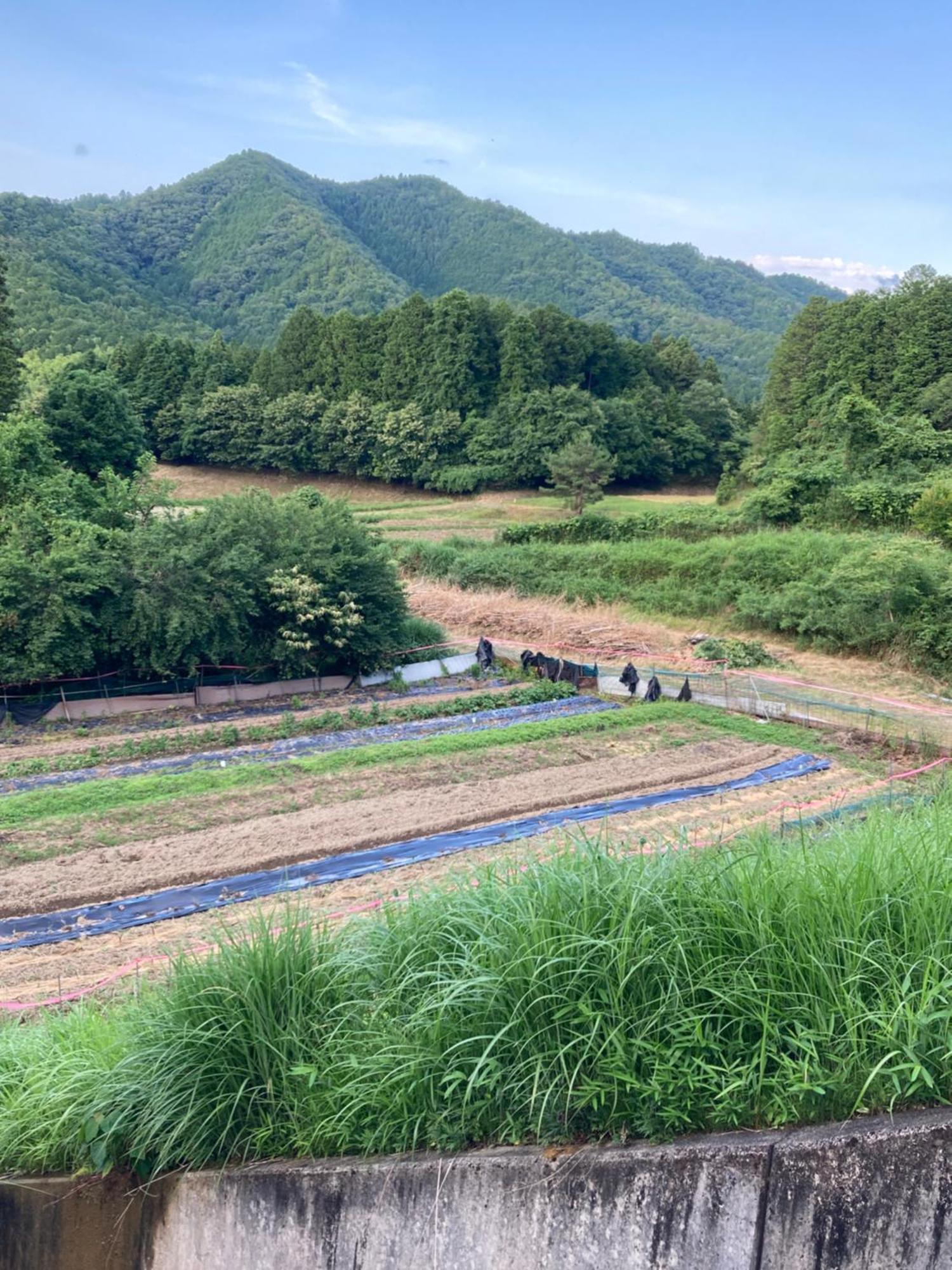 Ayabe 古民家 羅美酒店 外观 照片